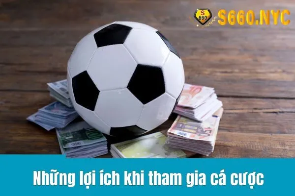 cá cược thể thao tại S666