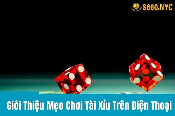 Mẹo Chơi Tài Xỉu Trên Điện Thoại