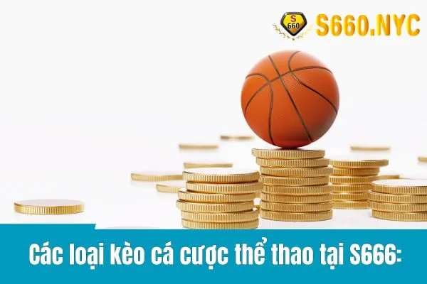 cá cược thể thao tại S666