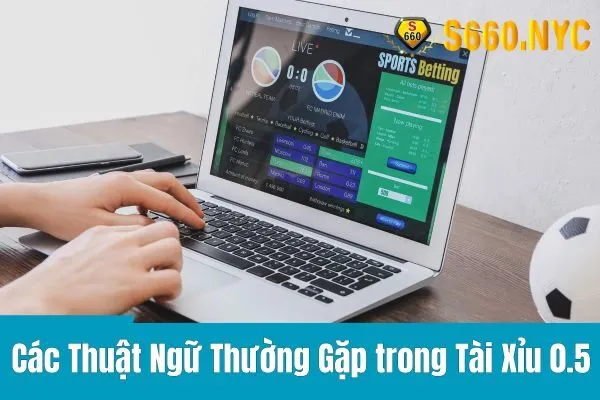 Tài Xỉu 0.5 Là Gì