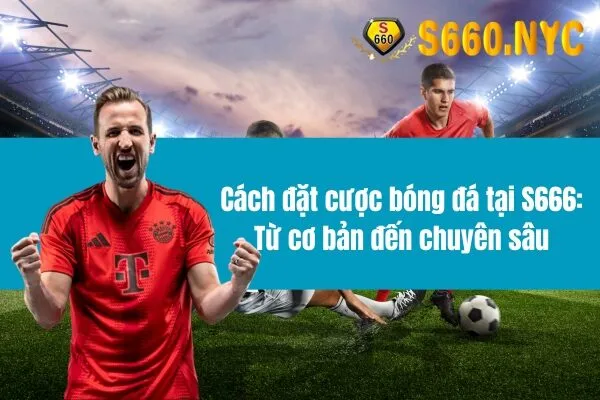 Cách đặt cược bóng đá tại S666: Từ cơ bản đến chuyên sâu