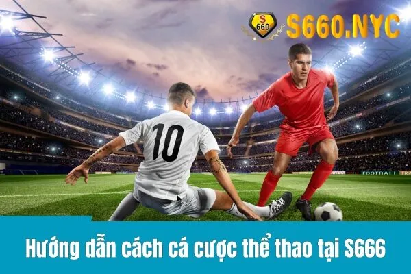 Hướng dẫn cách cá cược thể thao tại S666