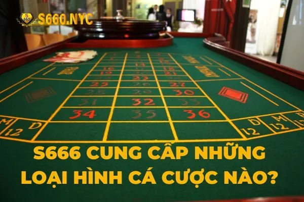 s666 cung cấp những loại hình cá cược nào